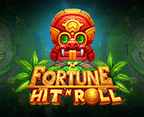 Fortune Hit`n Roll